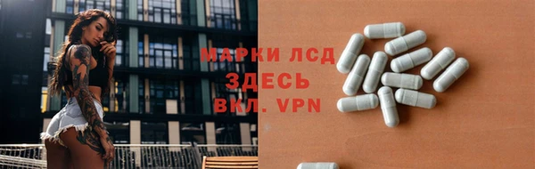 PSILOCYBIN Алзамай