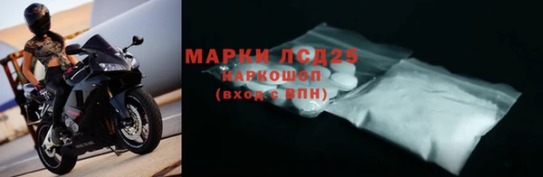 PSILOCYBIN Алзамай