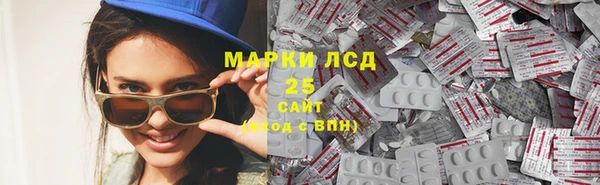 PSILOCYBIN Алзамай