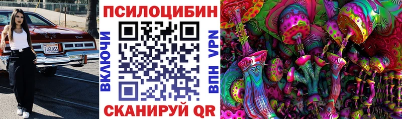 Галлюциногенные грибы мухоморы  купить наркотик  hydra онион  Межгорье 